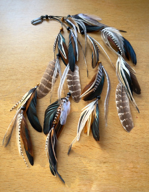 Goddess Plumes ~ Banksia