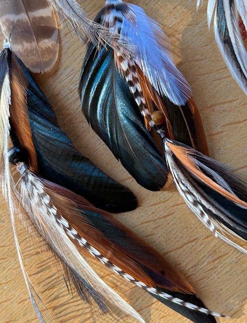 Goddess Plumes ~ Banksia