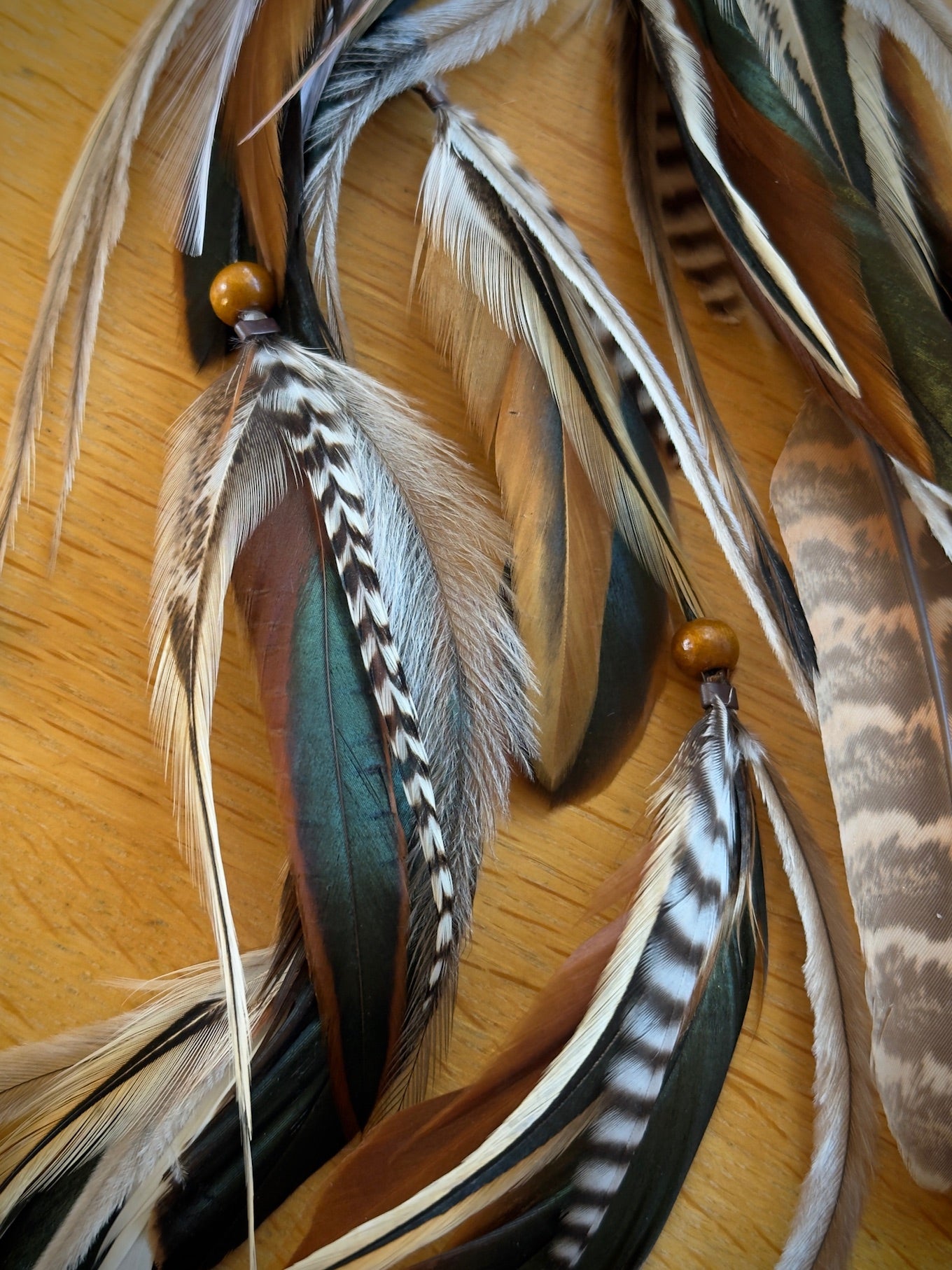 Goddess Plumes ~ Banksia