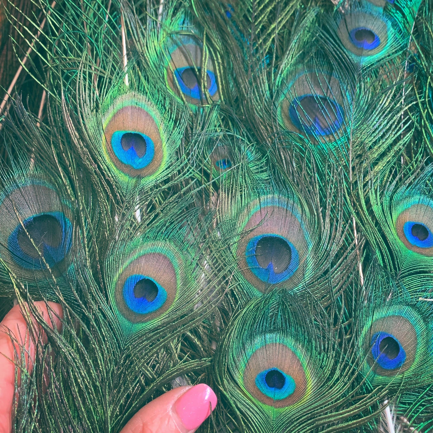 Emerald Goddess Peacock Feather Head piece